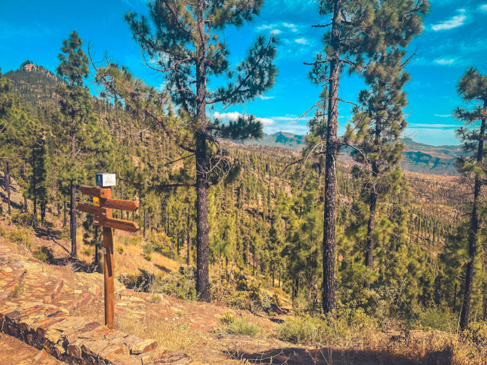 ARTENARA ENTRE PINARES CON HISTORIA